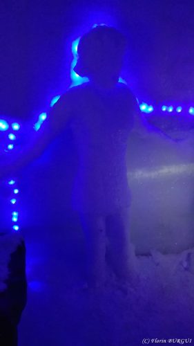 IMG_20170214_154941